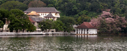 Kandy